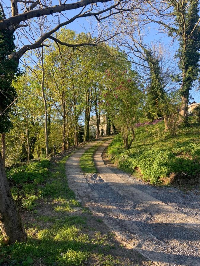 Tino * Verviers